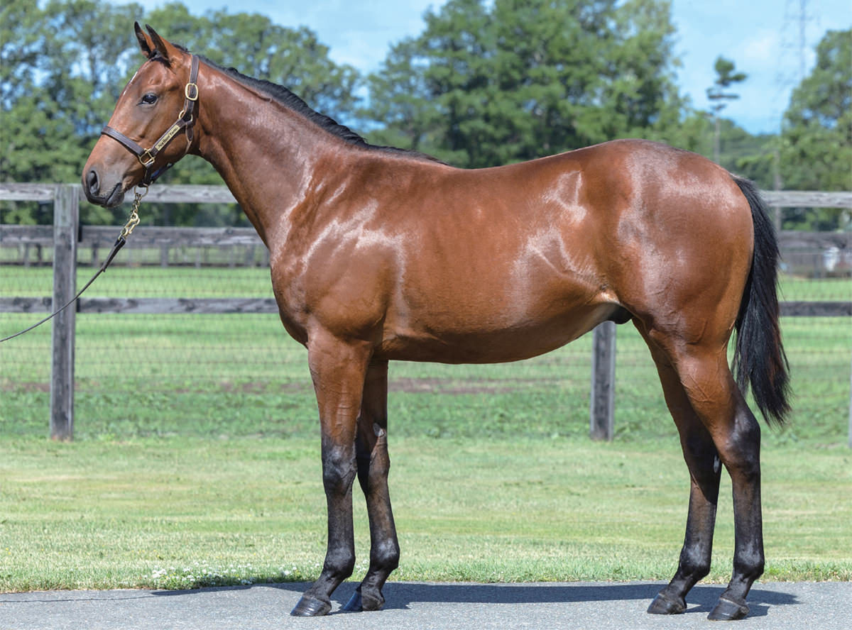 �������Ȥ�2023