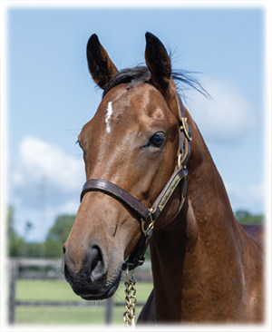 �������Ȥ�2023