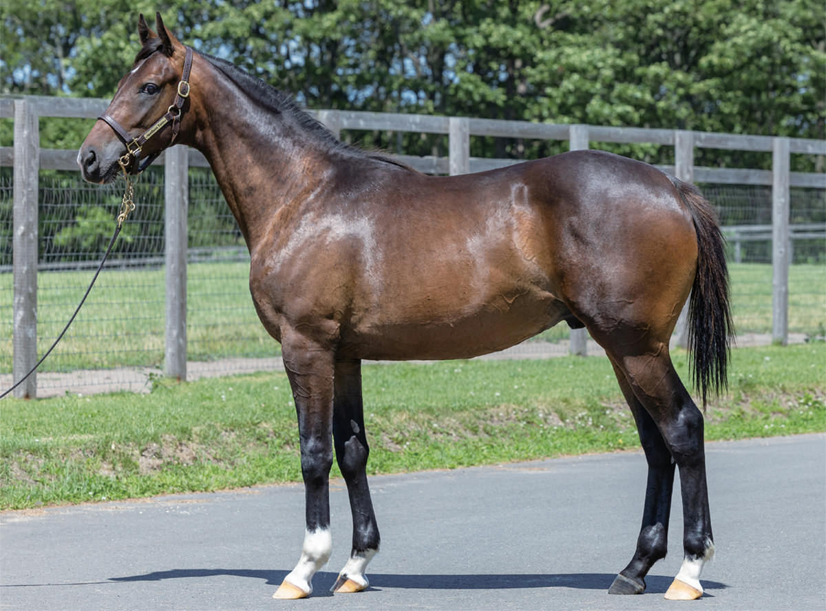 �٥��ȥ�󥰤�2023