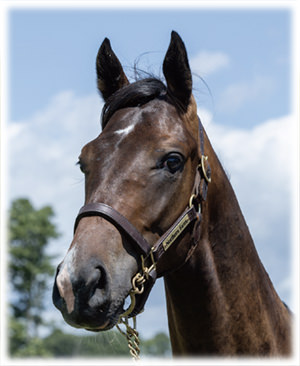 �٥��ȥ�󥰤�2023