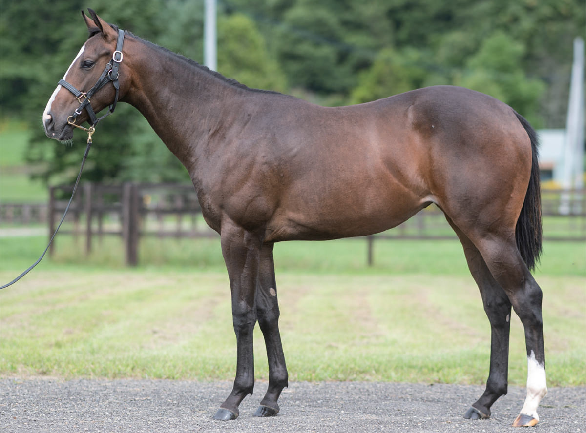 �ץ�ߥ���ࡼ���2023 