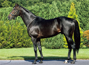 ��������֥�å�