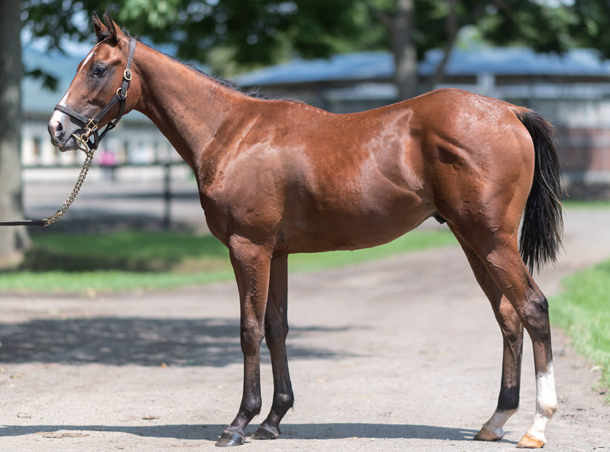 �饫��ե���ˡ���2023