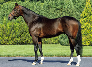 �ꥢ�륹�ƥ�����