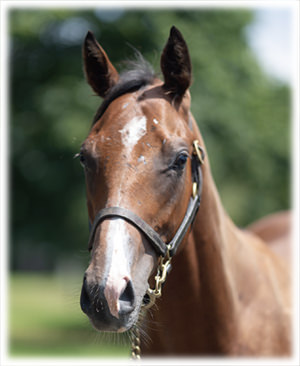 �饫��ե���ˡ���2023