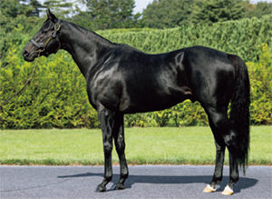 ���Υ󥭥󥰥꡼