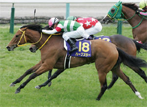 ���Υ󥭥󥰥꡼