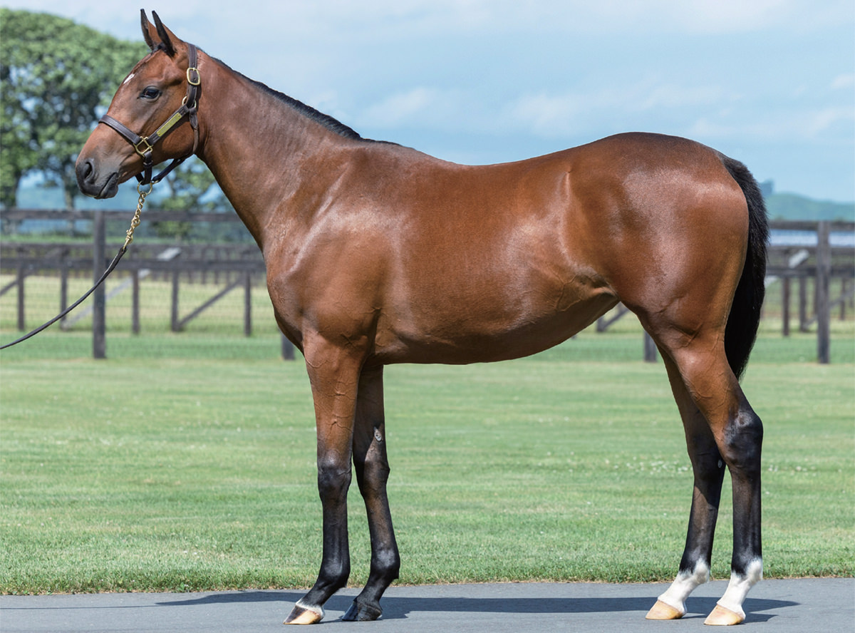 �᥵��ƥ����2023