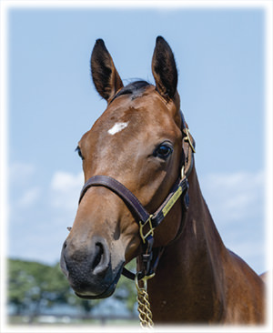 �᥵��ƥ����2023