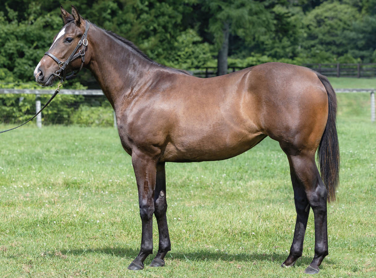 �ץ�󥻥��襦����2023