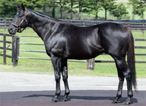 �ɥ꡼��Х�����