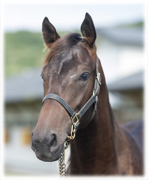 �����ɥ��å��㡼��2023