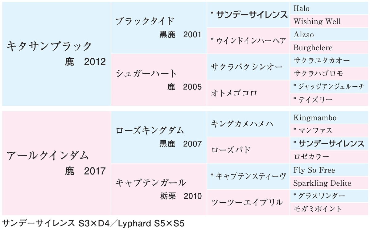 �����륯��������2025�η���ɽ
