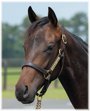 フラーテイシャスミスの2018