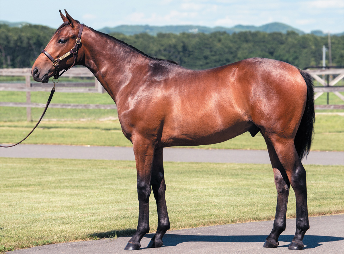 ���ȥ��ܥե�å����2020