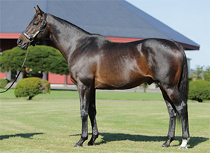 �������ȥ��ԥ�