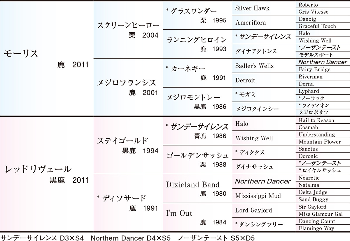 サラブレッドクラブライオン｜レッドリヴェールの2021