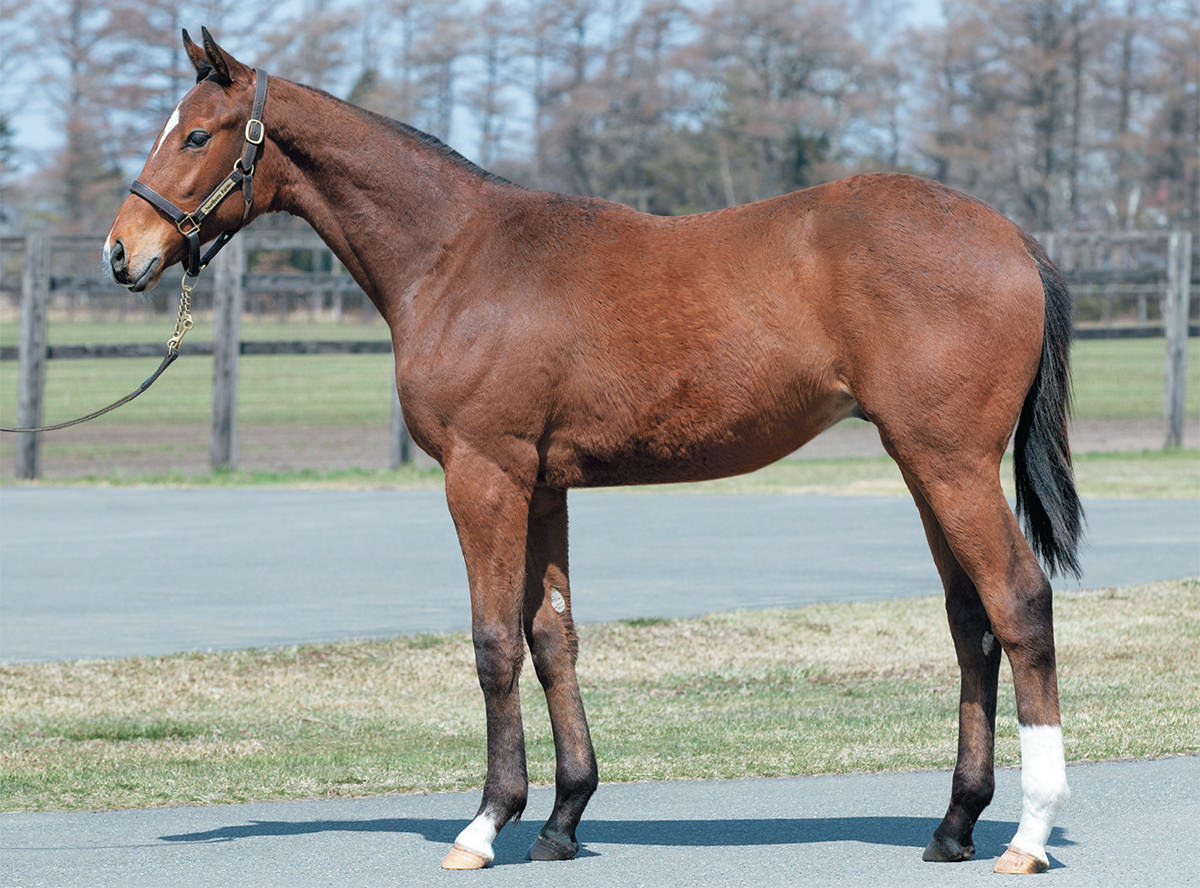 ������ˡ�����������2021