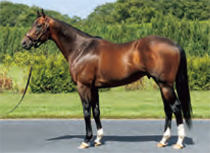 �ꥢ�륹�ƥ�����