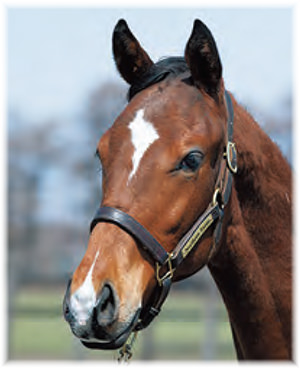 ������ˡ�����������2021