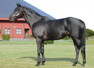 馬のくら 座間近代乗馬クラブ｜神奈川県の乗馬クラブ・ビギナーから上級者まで。