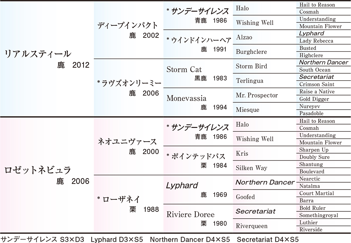 サラブレッドクラブライオン｜ロゼットネビュラの2022