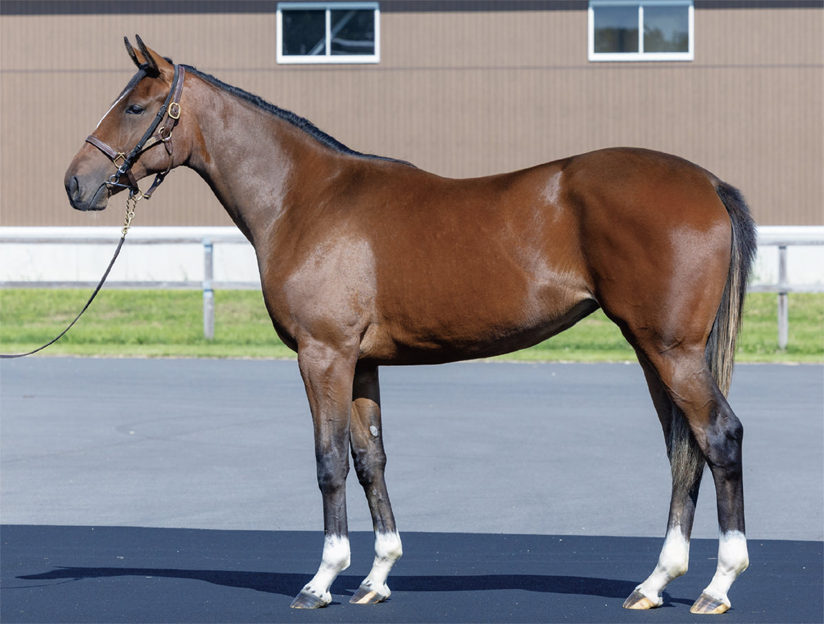 カヴァートラブの2024