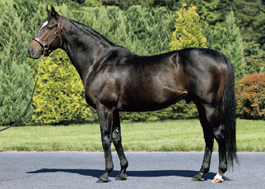 エピファネイア