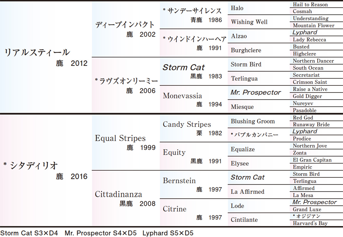 Pedigree - 五代血統表