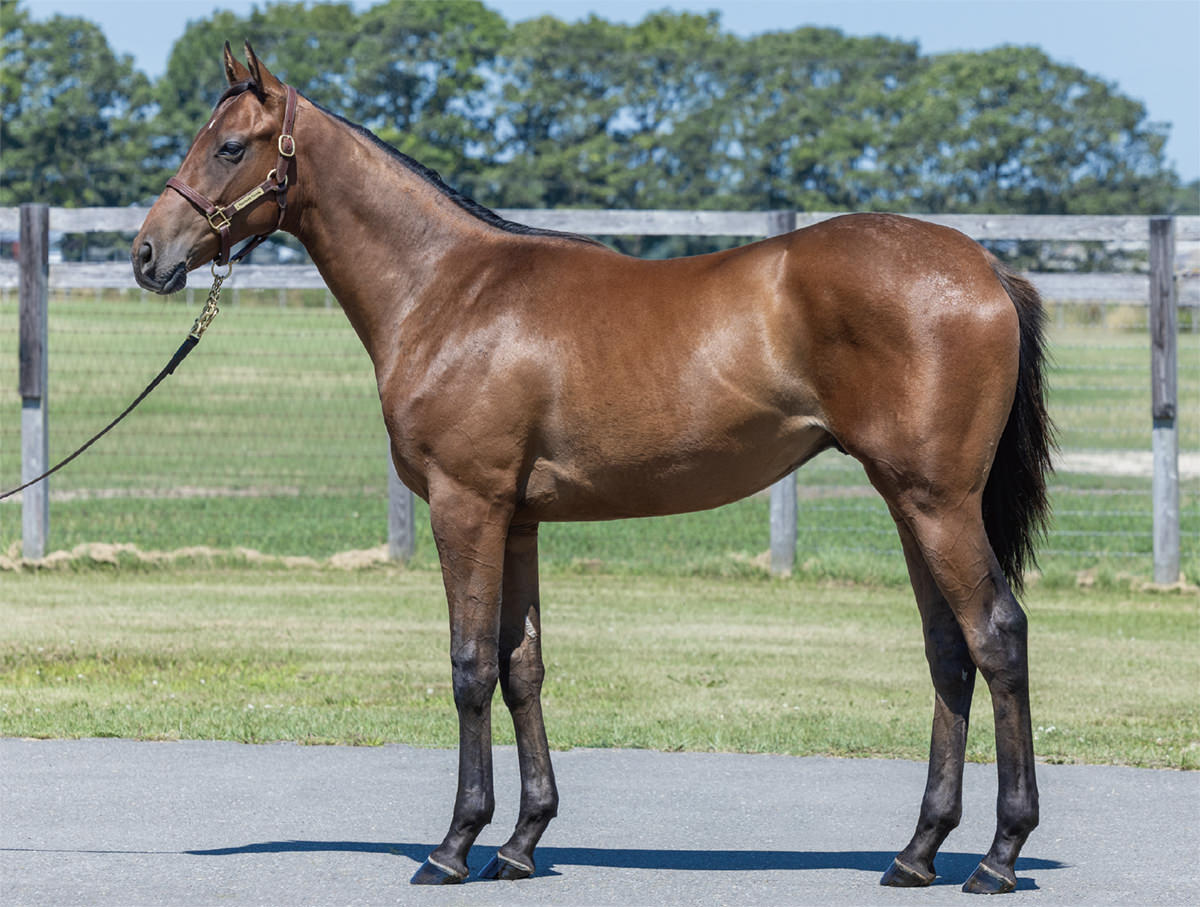 レッドオリヴィアの2024