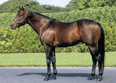 ロードカナロア