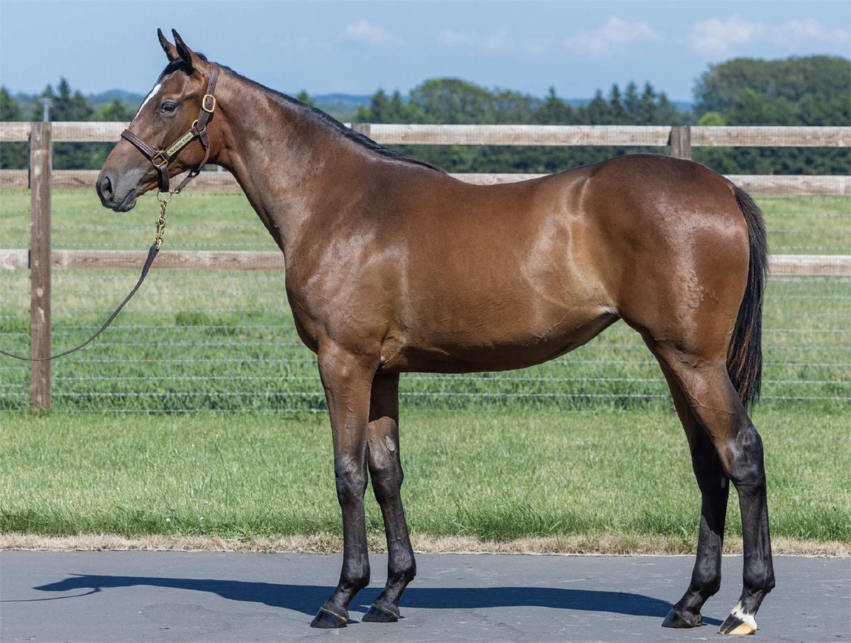 リンダレベソルータの2024