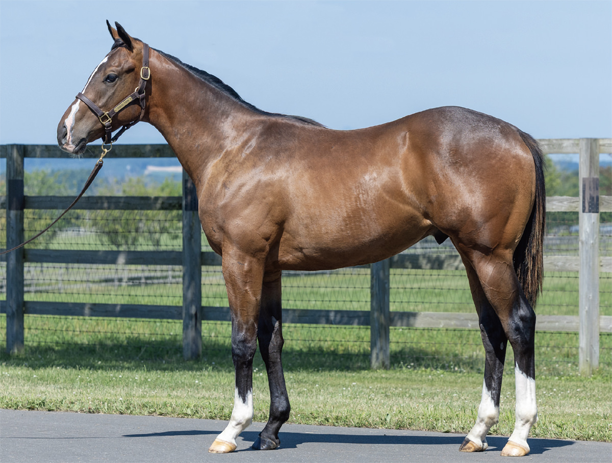 ザウェイアイアムの2024