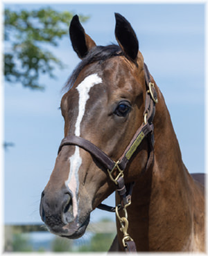 ザウェイアイアムの2024