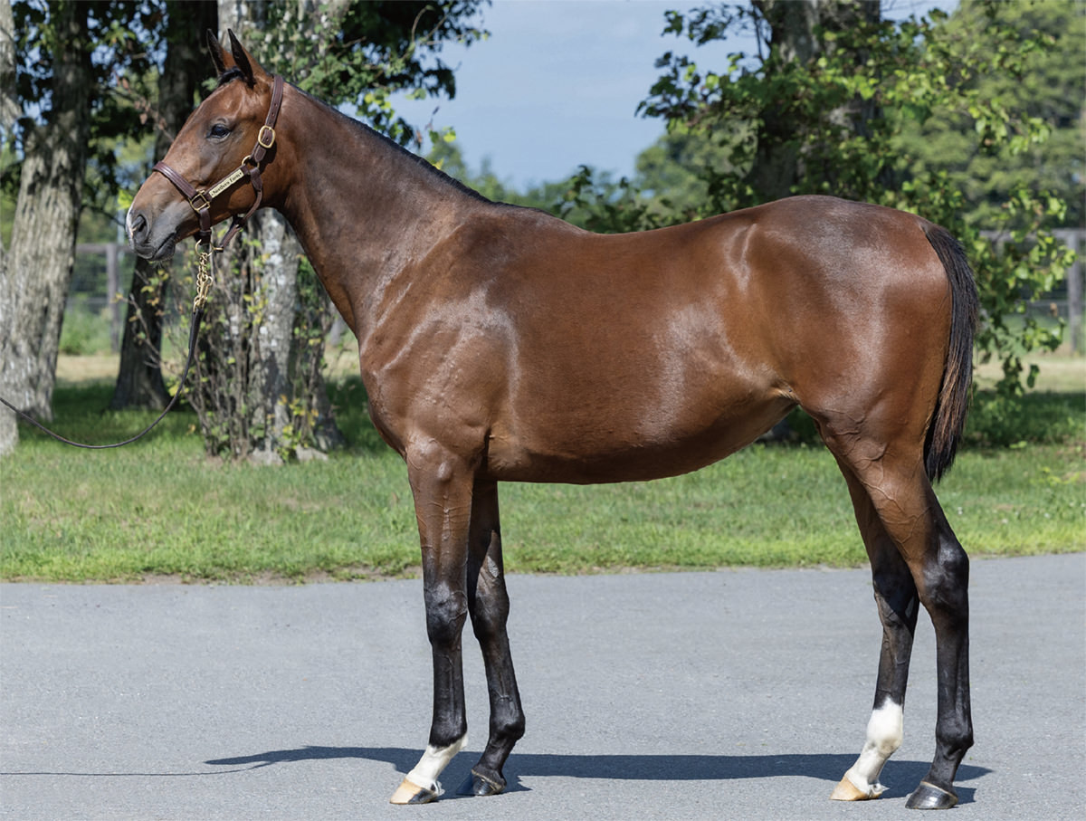 パーリーアヴェニューの2024