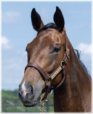 パーリーアヴェニューの2024