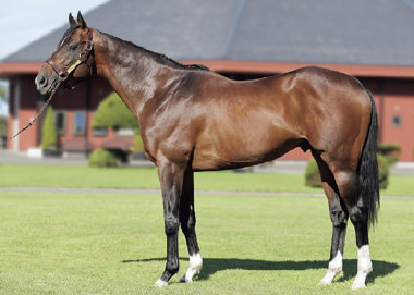 リアルスティール