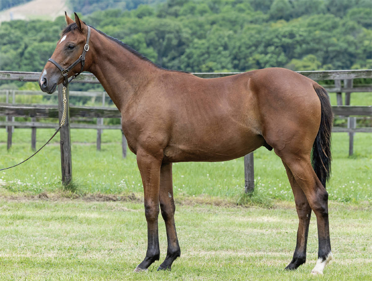 タニノハイクレアの2024