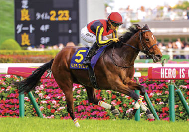 リバティアイランド