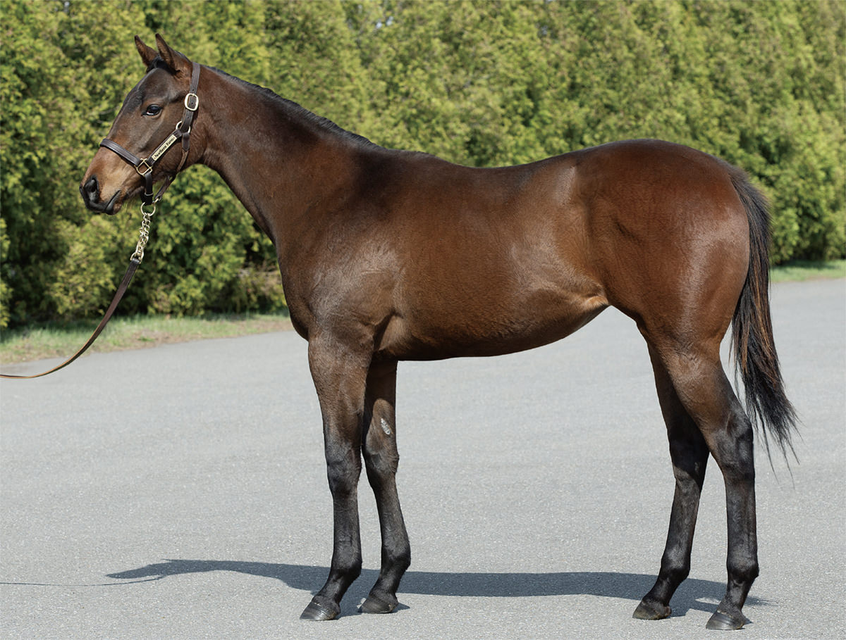 エディスワートンの2024