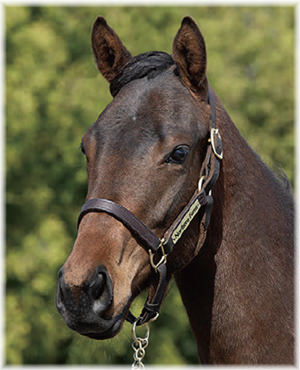 エディスワートンの2024