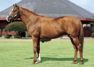 シュヴァルグラン