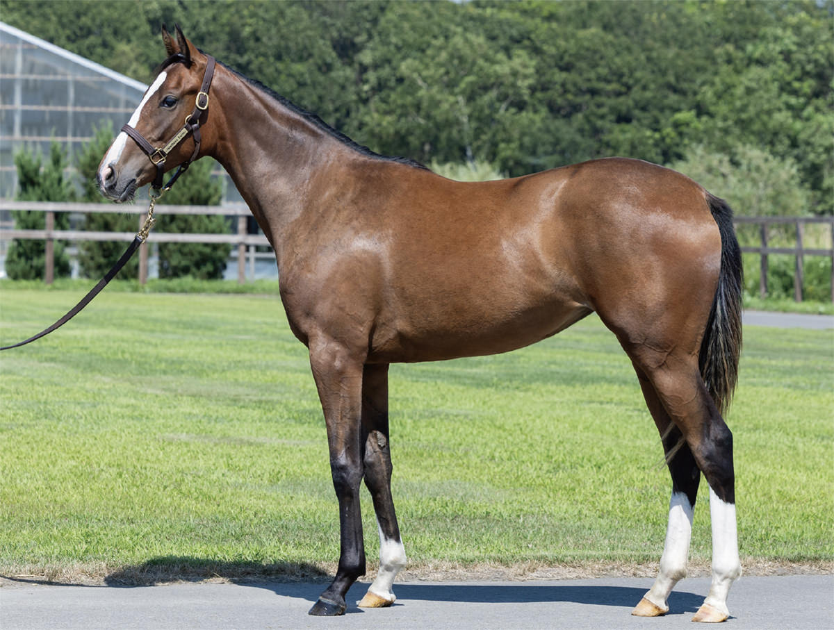 セブンシーズの2024