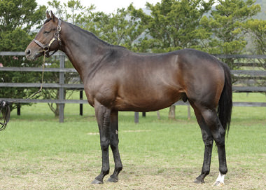 ミッキーロケット