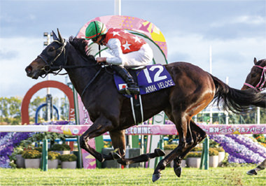 アルマヴェローチェ