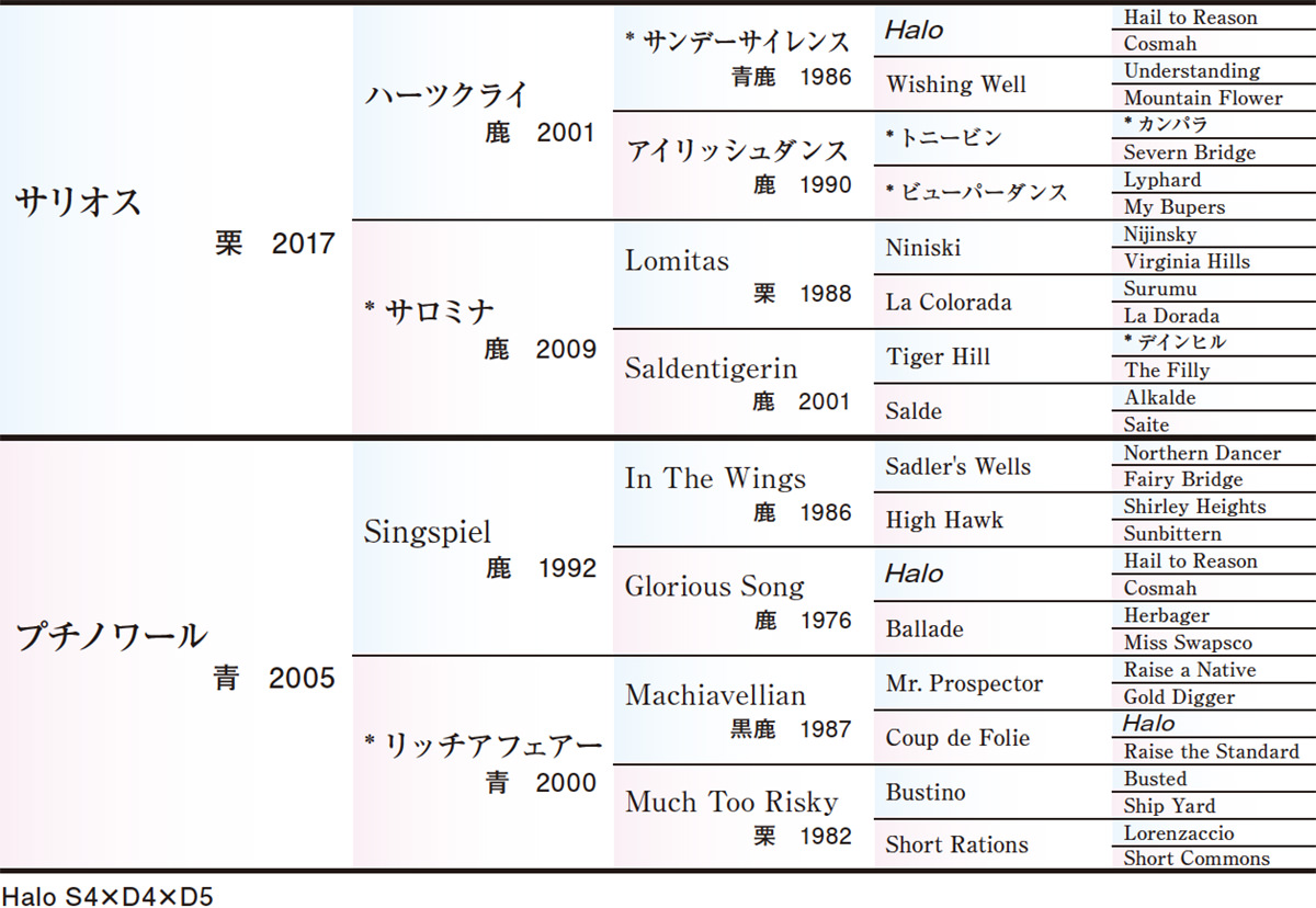 Pedigree - 五代血統表