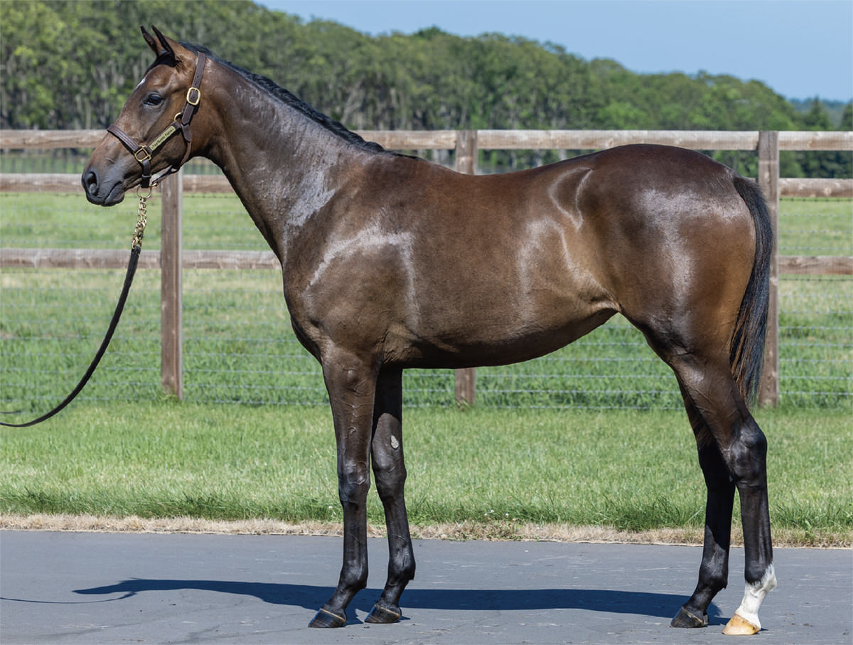 カイゼリンの2024