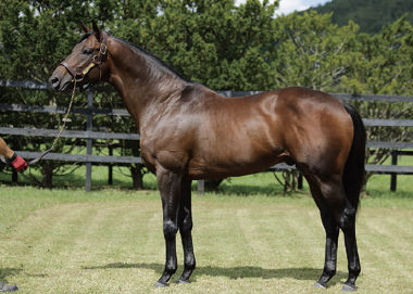 ミスターメロディ