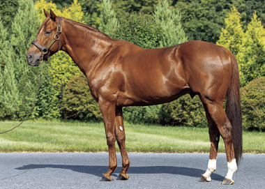 マインドユアビスケッツ