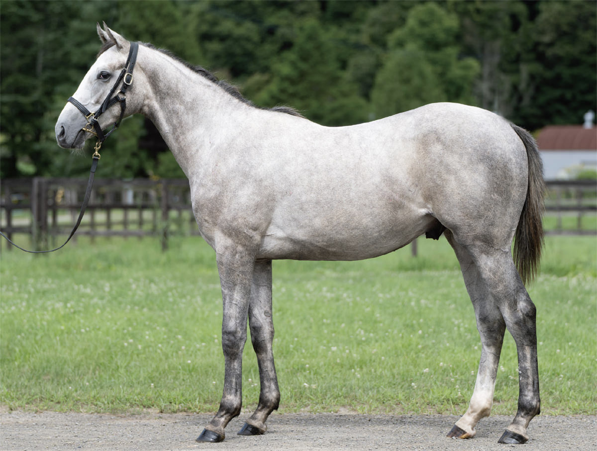 プリミエラムールの2024